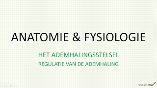 Regulatie van de ademhaling