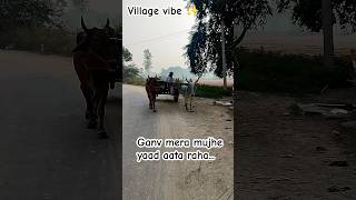 Ganv mera mujhe yaad aata raha #youtubeshorts #trendingshorts #ytshorts #villagelife #villagevlog