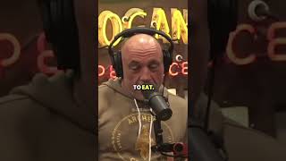 Joe Rogan on the Carnivore Diet | JRE #shorts