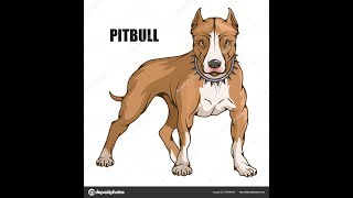 SECRETOS DE LOS PITBULLS🐕