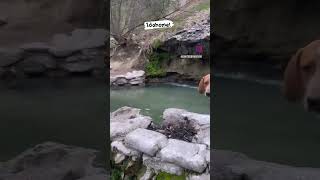 Idaho hot springs!!! #outdoors #youtubeshorts #youtuber #nature #explore #beautiful #insta