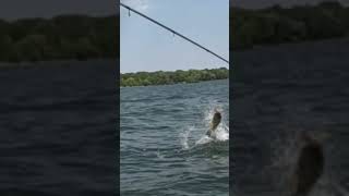 Leech lake leapin’