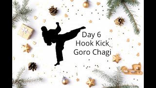 Day 6 - 100 HOOK KICKS / GORO CHAGI (12 Days of Kickmas series)