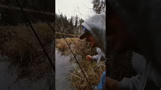 Fish Sargent!!!! CATCH SOME FISH!!!!! #washington #youtubeshorts #catfish #coldweather #carpfishing