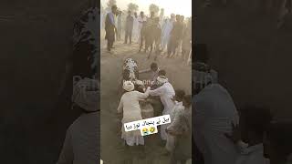 بیل نے پنجالہ توڑ دیا 🤣😭😭 #bullracevideo #bullrrace #jalsa #funnyvideo