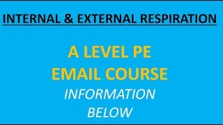 A Level PE: The Difference Between Internal And External Respiration