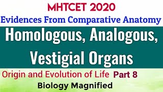 Origin and Evolution of Life for MHTCET 2020 |  Evidences from comparative anatomy, Biology Lecture