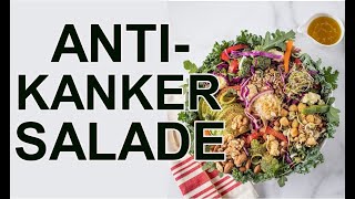 Anti Kanker Salade, voedingstoffen mineralen vitaminen Antioxidanten voedzaam, enzymen gezond