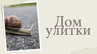 УЛИТКА АХАТИНА И ЕЁ ДОМ