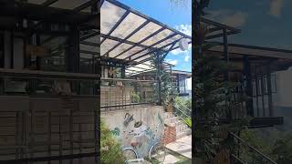 Nature's View in Cebu #cebuphilippines  #nature  #youtubeshorts