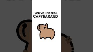 You've just been capybara'ed idea: @EveoDraws