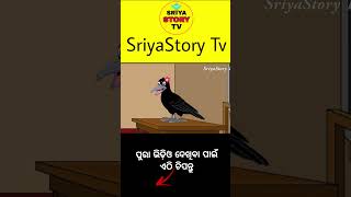 rani school re didi hela #birdstories #cartoon #majagapaodia