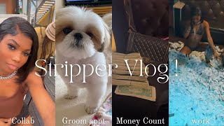 VLOG : MORE COLLABS + GROOMING APT + MONEY COUNT + WORKING + & MORE !!!!!