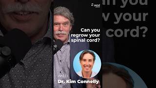 Can you regrow your spinal cord?