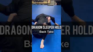 Dragon Sleeper to Back Take