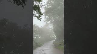 Nelliyampathy Hills, Palakkad, Kerala, India