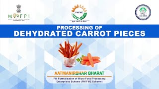 Demonstration Video on Dehydrated Carrot Pieces  (under PMFME Scheme) - Hindi