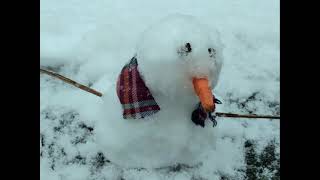 Picking Roses in the Snow (November 1st)