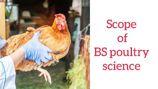 BS poultry | scope, university, salary of bs poultry