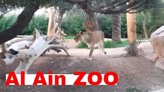 Al Ain Zoo | Best attraction in Al Ain