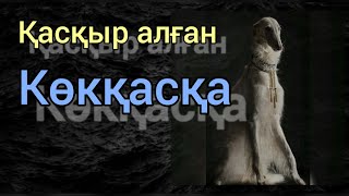 Қасқыр алған Көкқасқа