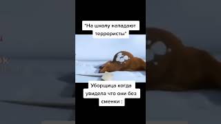 мемы №201 #shorts #memes #mem #мемы #мемасы