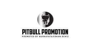 PITBULL PROMOTION TEASER