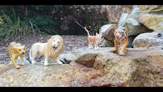 Wild Cats (part 1) a Schleich video