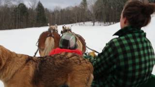 Christmas Eve Sleigh Ride