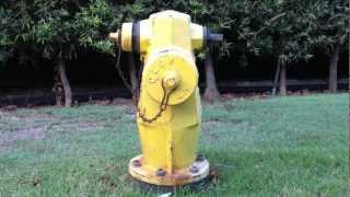 Bad Theater Fest Promo "Fire Hydrant"