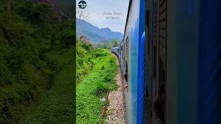 SEVOKE FOREST, Siliguri west bengal sikkim railway junction nature indian railway music new hills