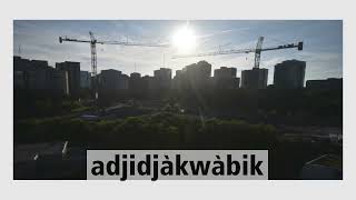 Adjidjàkwàbik - Crane