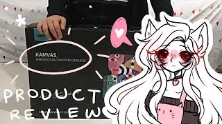 raineko unboxes and reviews huion (KAMVAS GT-191 v2)