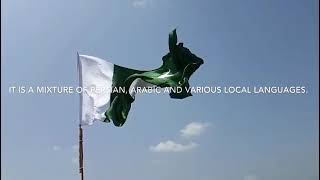 Treandi viral Ringtone | whtsapp statues #14 Augusat |pakistani Flag | VRT