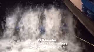 ECO 3HP AERATOR.whatsapp0086 13143546118