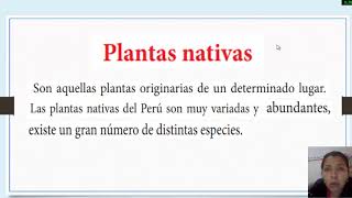 PLANTAS NATIVAS Y EXÓTICAS