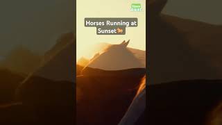 Majestic Horses Running at Sunset in Mountain Field #horse #riding