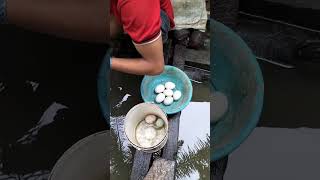 DAPAT TELUR BEBEK PAGI INI