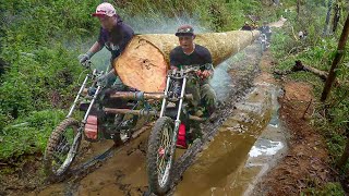 A Day in the Life of Lumberjacks Riding Cheapest Log Transport Vehicle