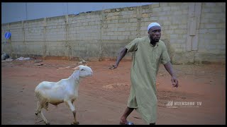 😂AKABENEZER STOLE SHIFO SHEEP🐑TO HIS GIRLFRIEND AS A SALLA GIFT😂ft KOMPANY,OPOKU,MADINA,MARIAM