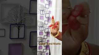 Odissi Hand Mudra | Classical Dance Hand Mudra | Aigiri Nandini | Dance Odissi With Subhashree