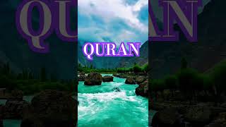 Surah Maidah Ayat no 100-103 urdu translation #islamic#reels#viral #shorts#video#quran