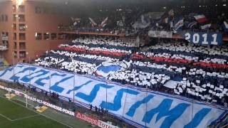 Coreografia Sampdoria Modena