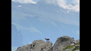 Montée au lac de Vogealles par le pas de Boret