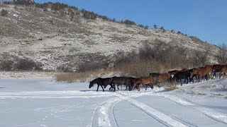 Опасный переход