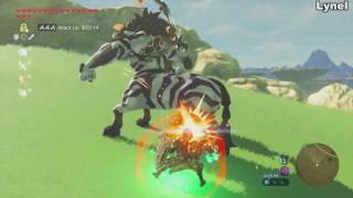 Zelda: Breath of the Wild - Tutti i BOSS Mostri Cattivi più FORTI e Animazioni Sconfitta Switch