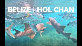 Travel to Belize | Snorkeling in | Hol Chan | Caye Caulker | Shark Ray Alley