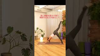 関節のポキポキ音がなる理由#shorts#yoga#ストレッチ#トレーニング