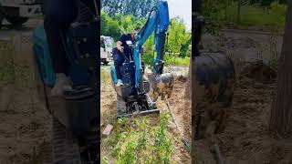 FREE SHIPPING!kubota｜yanmar engine ｜CE EPAEURO 5｜ cheapest  1T mini excavator#original sound #test #