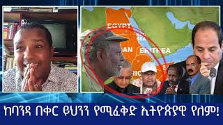 ከባንዳ በቀር ይህንን የሚፈቅድ ኢትዮጵያዊ የለም!